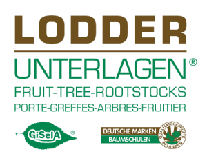 Logo LODDER